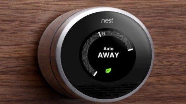 Nest kışın ortasında çöktü, ev sahipleri dondu!