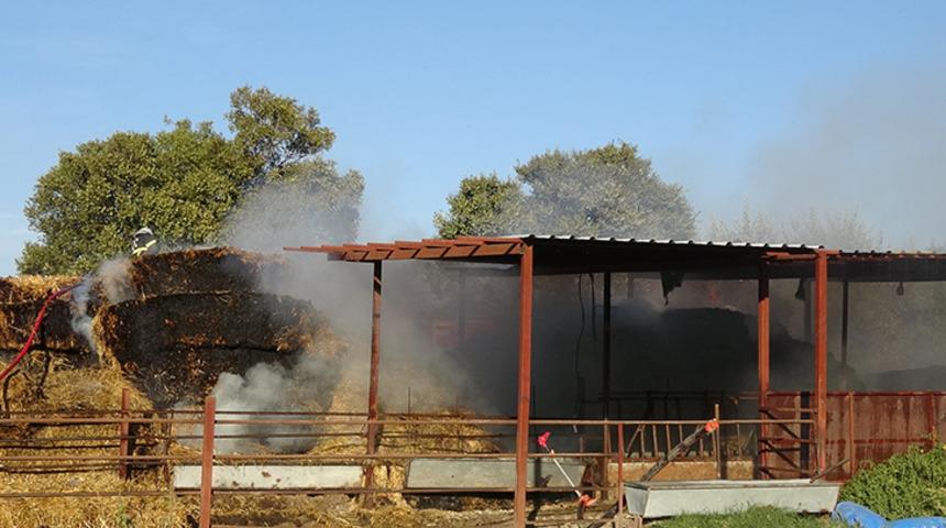 Burdur'da küçük bir ihmal 60 tonu yok etti! 