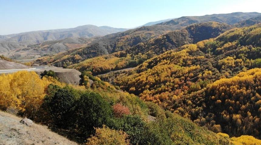 Erzincan’da sonbaharda renk cümbüşü