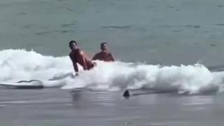 Birkaç metre uzaklıktaki tehlikeden haberdar değildi! Sörfçünün korku dolu anları saniye saniye kaydedildi