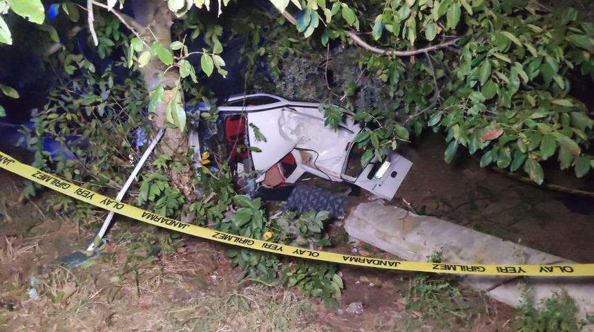 Bursa'da domuza, ardından ağaçlara çarpan hafif ticari araçtaki 2 kişi öldü