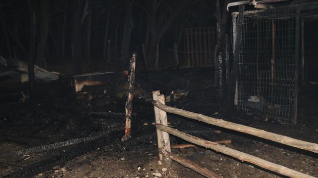Kastamonu'daki ahır yangınında lama, midilli ve tavus kuşu öldü