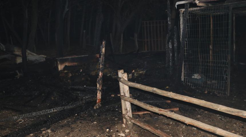 Kastamonu'daki ahır yangınında lama, midilli ve tavus kuşu öldü