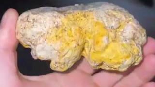 Balıkçı köpeği milyonlar değerindeki balina kusmuğunu buldu! Resmen deniz hazinesi