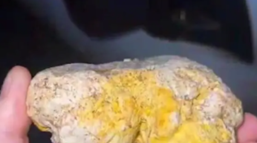 Balıkçı köpeği milyonlar değerindeki balina kusmuğunu buldu! "Resmen deniz hazinesi"