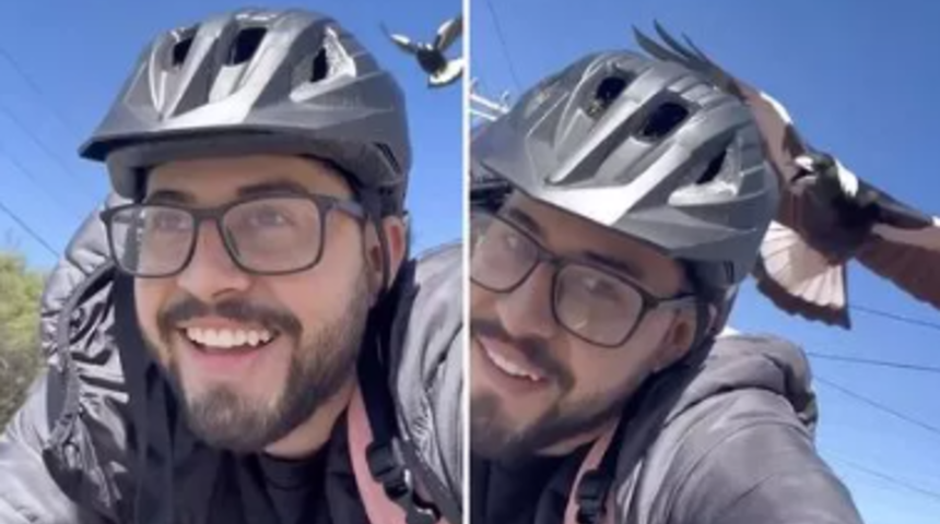 Her gün işe giderken saksağan saldırısına uğruyor! Kendisini korumak için öyle yöntemler aldı ki... Sosyal medyada gündem yarattı