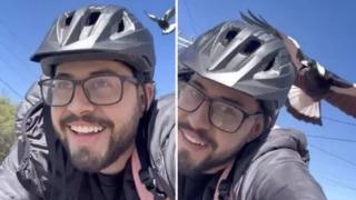 Her gün işe giderken saksağan saldırısına uğruyor! Kendisini korumak için öyle yöntemler aldı ki... Sosyal medyada gündem yarattı