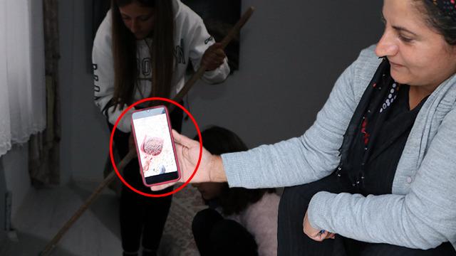 Bir mahallenin kabusu oldu! Her yerden çıkıyorlar... Baş edemez duruma geldik