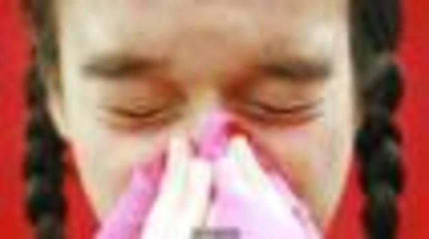 Alerjiye karşı yeni yaklaşım ve yararlı bakteriler