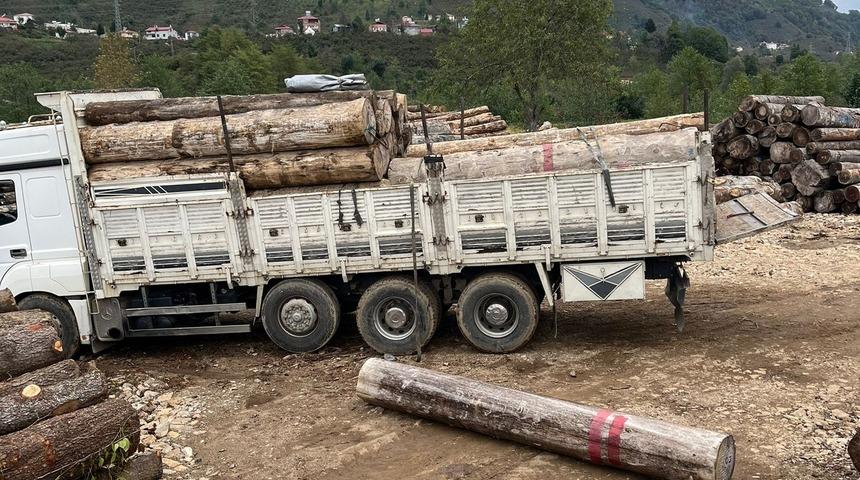 Giresun'da üzerine tomruk düşen kişi öldü