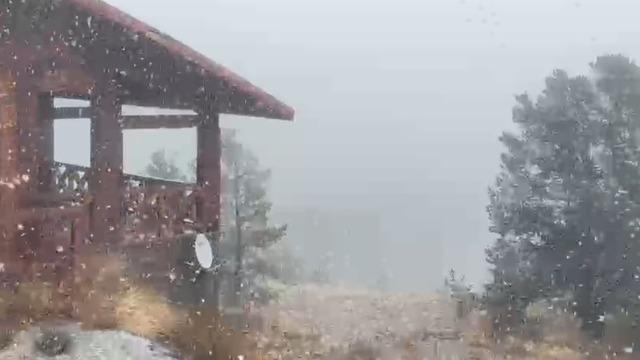 Sarıkamış'ta lapa lapa kar yağışı! O anlar vatandaşlar tarafından kaydedildi