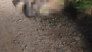 Hatay'da kayıp olarak aranan kadının öldürüldüğü belirlendi