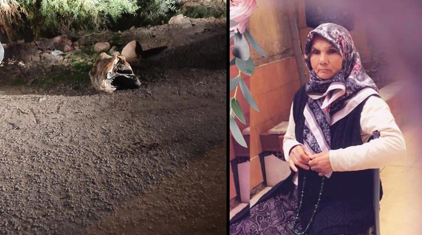 Çadırda yaşayan kadın miras kavgası yüzünden vahşice öldürüldü! Cesedine neler yapmışlar neler...