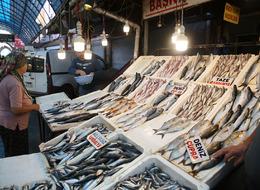 Cep yakan fiyatlar düştü, vatandaşın yüzünü güldürdü! Tezgahlar balıkla doldu taştı: "Her bütçeye, her keseye uygun var"