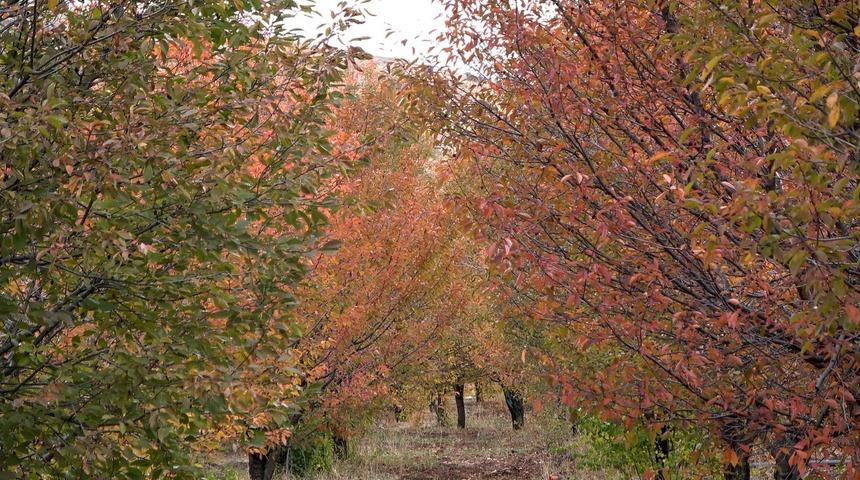 Sivas&rsquo;ta yağlıboya tablosu gibi manzara