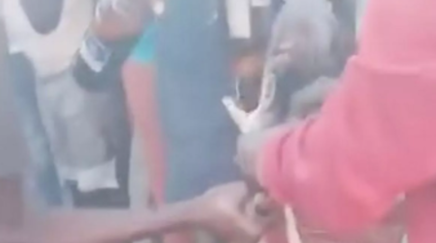 Bunun adı resmen işkence! Pitonunun boyunun ne kadar uzayabileceğini ölçmek istediler... Yakaladıkları hayvana zorla litrelerce alkol içirdiler