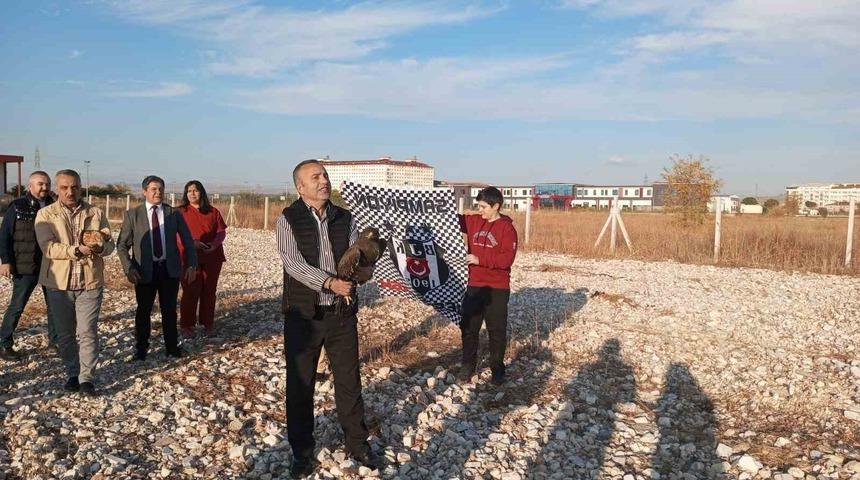 Tedavileri tamamlanan orman kartalı ve şahin doğaya salındı