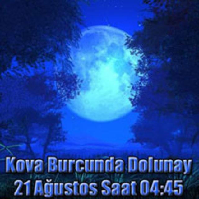 kovadamavidolunay 220