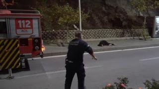 Kayalıkların ucuna geldi, 40 metreden kendini aşağı bıraktı! O anlar kamerada