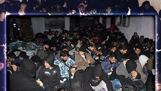 Evin bahçesinde 100'den fazlası bir arada yakalandı! Görenler gözlerine inanamadı, polisler takviye destek istedi