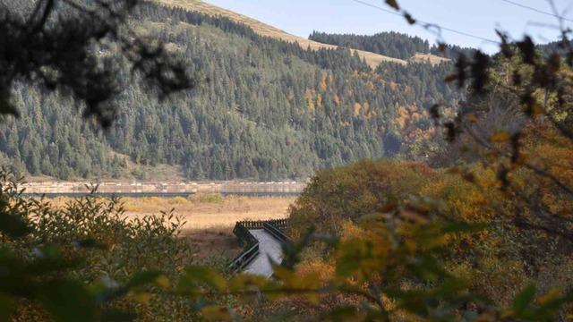 Abant’ta hazan mevsimi güzelliği