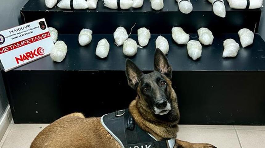 Narkotik köpeği 'Işık' ile aramada 14 kilo 620 gram uyuşturucu ele geçirildi!