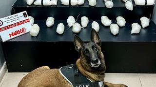Narkotik köpeği 'Işık' ile aramada 14 kilo 620 gram uyuşturucu ele geçirildi!