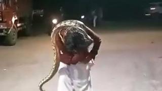 Pitonla fotoğraf çekilmek isteyen sarhoş adam hastanelik oldu! Boynuna doladığı yılan ölümüne neden oluyordu