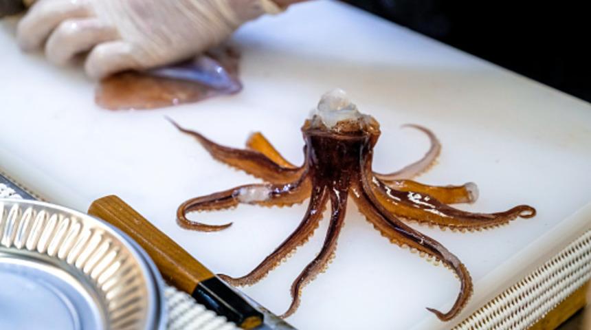 Canlı canlı yediği ahtapotun boğazına sıkışıp boğulması sonucu hayatını kaybetti! Tabakta hâlâ ahapotun bacakları hareket ediyordu