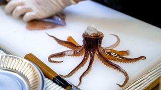 Canlı canlı yediği ahtapotun boğazına sıkışıp boğulması sonucu hayatını kaybetti! Tabakta hâlâ ahapotun bacakları hareket ediyordu