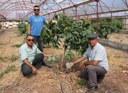 Tüm domatesleri söküp onu dikti! 300 yıllık yatırım yaptı 'Fazla bir masrafı yok, para kazandırıyor ama...'
