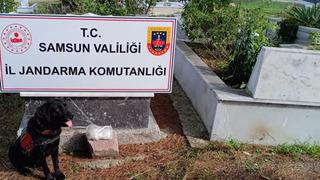 'Pes' dedirten olay! Uyuşturucuyu dedesinin mezarına saklamış