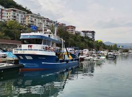 Son 15 yılda böylesi görülmedi! 170 TL'den satılıyor... 'Hiç olmadı desek yeridir'