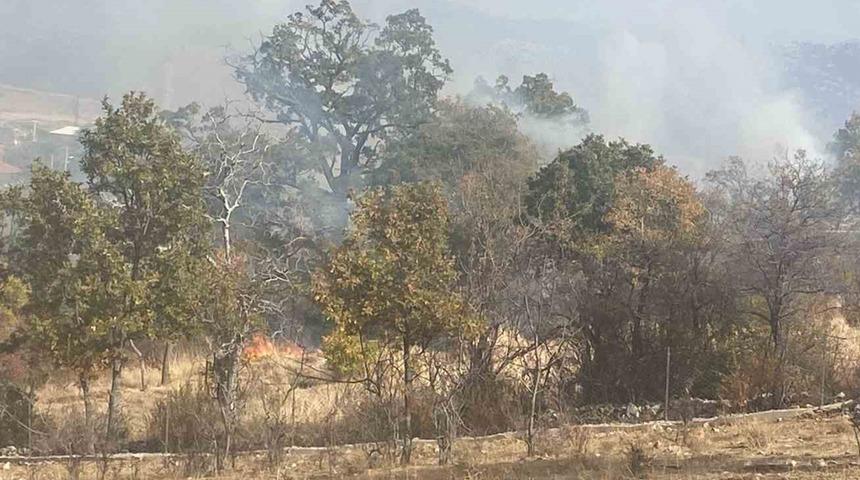 Isparta’da 10 dekar alan küle döndü