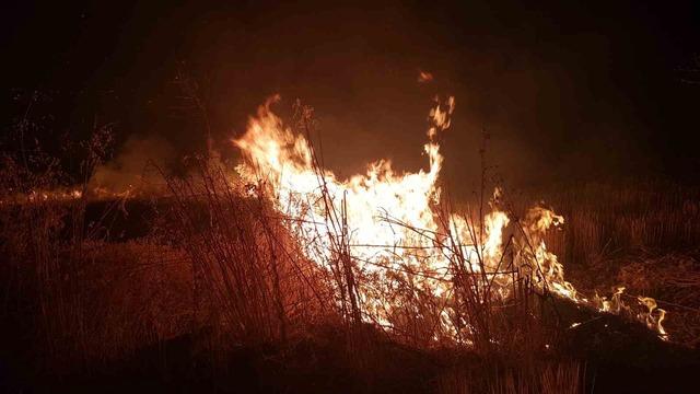 Alaca’da 6 ayrı noktada anız yangını