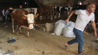 Şanlıurfa’da dev mağarada tavan çöktü, hayvanlar telef oldu!
