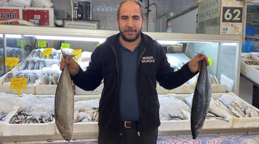 Balık pazarındaki sessizlik yerini berekete bıraktı