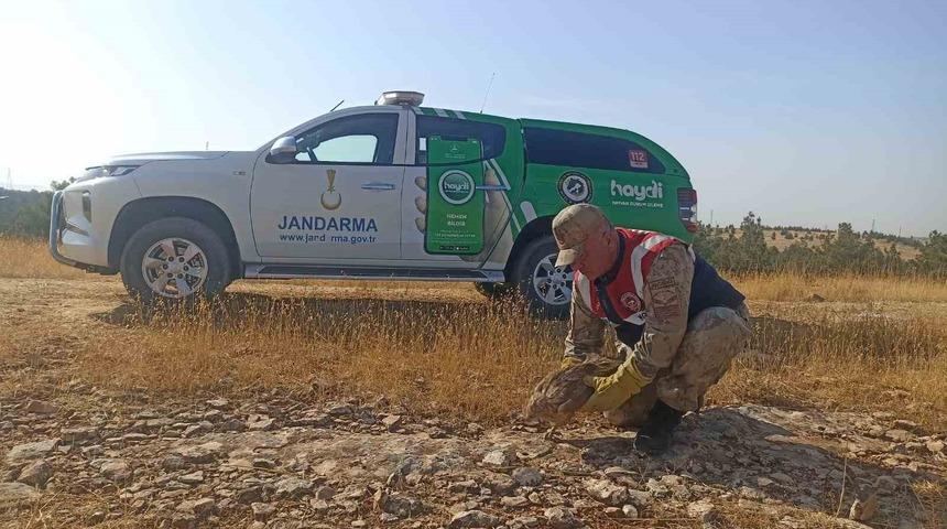 Yaralı Kızıl Şahin tedavi altına alındı