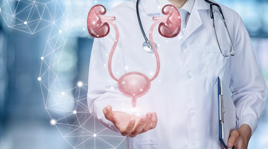 Prostat nedir, ne iyi gelir? Çok su içmek prostata iyi gelir mi?