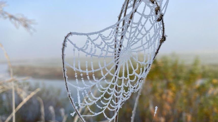 Ardahan ve Kars'ta soğuk hava kırağı, buzlanma ve sis oluşturdu