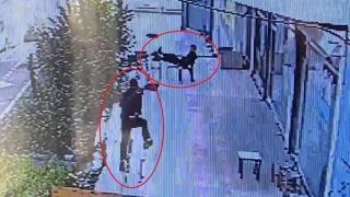 Yer Diyarbakır… İş yerinin önünde infaz ettiler! O anlar kamerada…