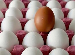 Yumurta fiyatlarındaki oyun ortaya çıktı! Bölge bölge paylaşıp kartel oluşturmuşlar