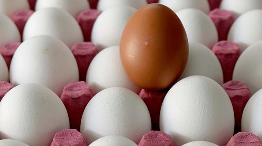 Yumurta fiyatlarındaki oyun ortaya çıktı! Bölge bölge paylaşıp kartel oluşturmuşlar