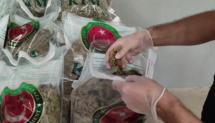 SON DAKİKA | Bakan Bolat duyurdu: Yalova’daki uyuşturucu operasyonunda 10 milyon lira değerinde 80 kilo esrar ele geçirildi