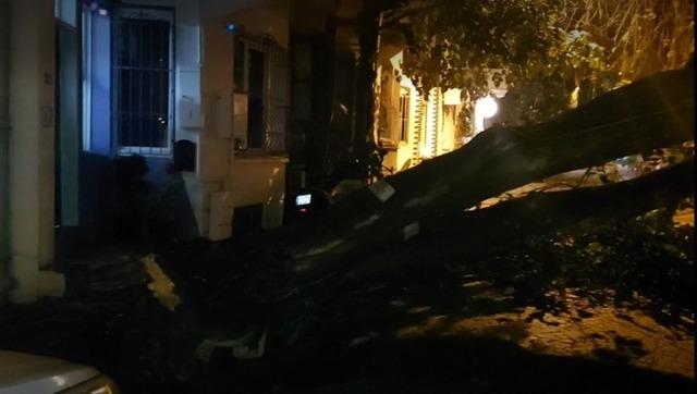 Üsküdar’da evin bahçe duvarına ağaç devrildi