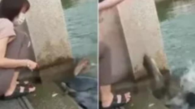 Her şey saniyeler içinde oldu! Bir anda ortaya çıkınca kimse ne olduğunu anlayamadı... Yılan timsah melezi gibi