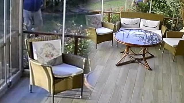 Müzisyene komşu dehşeti! Önce tüfekle ateş açtı, sonra baltayla evine saldırdı