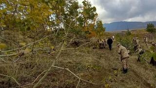 Bitlis'te vahşet! Günlerdir aranıyordu, parçalara ayrılmış ve yakılmış cesedi Nemrut Dağı eteklerinde bulundu