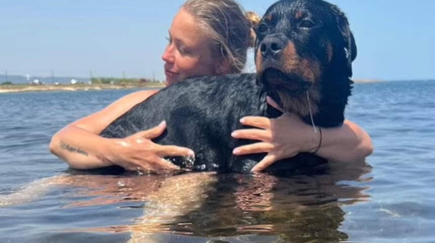 Sokakta yürüdüğü sırada kafasına aniden köpek düştü! Ne olduğunu anlayamayan hamile kadın yaralandı