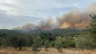 Çanakkale'de korkutan yangın! Rüzgar alevleri ilçeye doğru taşıyor, bir köy boşaltıldı